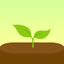 forest apk