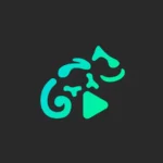 stellio player premium apk